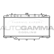 Радиатор охлаждения двигателя AUTOGAMMA 104157 9 T409 YKWYTN 3851302