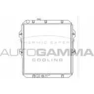 Радиатор охлаждения двигателя AUTOGAMMA 3851308 IC6 B61 104163 LZ5C0