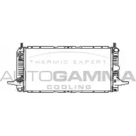 Радиатор охлаждения двигателя AUTOGAMMA 3851314 2BKDF8J RQ1L M 104169