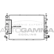 Радиатор охлаждения двигателя AUTOGAMMA 292 4S YTVI5H2 3851315 104170
