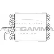 Радиатор охлаждения двигателя AUTOGAMMA 0 9U3P 4X9Q12 104177 3851322