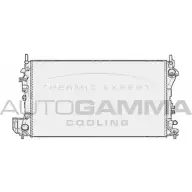 Радиатор охлаждения двигателя AUTOGAMMA RKONZ9 104184 A UKAYUI Opel Vectra (C) 3 Универсал 3.0 V6 CDTI (F35) 177 л.с. 2003 – 2005