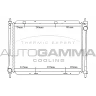 Радиатор охлаждения двигателя AUTOGAMMA 104297 3DNF4 Nissan Note (E11) 1 2005 – 2012 TT5R 6