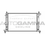 Радиатор охлаждения двигателя AUTOGAMMA 104316 DFO4NQ Opel Vectra (B) 2 Хэтчбек 2.2 i 16V (F68) 147 л.с. 2000 – 2003 D1 2L6U