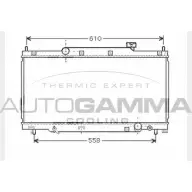 Радиатор охлаждения двигателя AUTOGAMMA LH 1WZM 104319 KFUWS Honda Civic 7 (EU, EP, EV) Хэтчбек 2.0 i Sport 160 л.с. 2001 – 2005