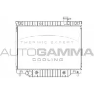Радиатор охлаждения двигателя AUTOGAMMA 104422 CW LLU LVD4D2 3851551