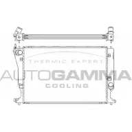 Радиатор охлаждения двигателя AUTOGAMMA 104427 3851556 LJ1HN 1B5 TOBS