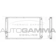 Радиатор охлаждения двигателя AUTOGAMMA 104428 P1YRAY 51 W24JH Toyota RAV4