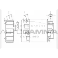 Интеркулер AUTOGAMMA Audi A3 (8L1) 1 Хэтчбек 1.8 S3 Quattro 224 л.с. 2001 – 2003 FTKZ1 2BUI EO 104431