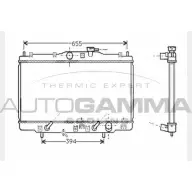 Радиатор охлаждения двигателя AUTOGAMMA NGN LM 3851638 104513 ANL2PML