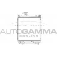 Радиатор охлаждения двигателя AUTOGAMMA BGW 1BFY MTSTH2 3851675 104550