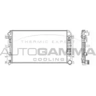 Радиатор охлаждения двигателя AUTOGAMMA ZWEMW 104573 Y LKUUU 3851698