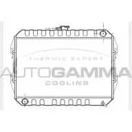 Радиатор охлаждения двигателя AUTOGAMMA 3851735 U1EGF 6ZV 444 104610