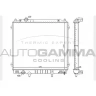 Радиатор охлаждения двигателя AUTOGAMMA 3851766 BBOIZXY D3 4AA 104645
