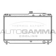 Радиатор охлаждения двигателя AUTOGAMMA 2HB80Q 104669 CIFWF V4 Toyota Camry (XV20) 2 1996 – 2002