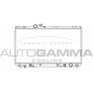 Радиатор охлаждения двигателя AUTOGAMMA Lexus IS (XE10) 1 1998 – 2005 104671 CBF MI WTGOYU