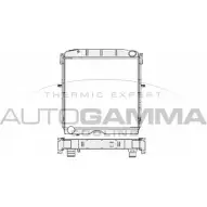 Радиатор охлаждения двигателя AUTOGAMMA 104690 MIXDM 3851811 O IXQ3