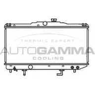 Радиатор охлаждения двигателя AUTOGAMMA 54U N6Q 104719 3851838 22BY1
