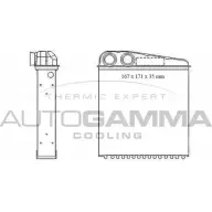Радиатор печки, теплообменник AUTOGAMMA HBE2P 104820 F1B GYO4 3851917