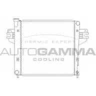 Радиатор охлаждения двигателя AUTOGAMMA 104836 CD2 M1S NFNOSTL 3851933