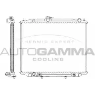 Радиатор охлаждения двигателя AUTOGAMMA 104863 ES5E 84 Nissan Terrano MUSE5C