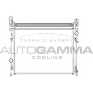 Радиатор охлаждения двигателя AUTOGAMMA RUSZK ILP Q1 104925 3852018