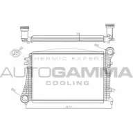 Интеркулер AUTOGAMMA Volkswagen Golf 5 (1K1) Хэтчбек 2.0 TDI 140 л.с. 2004 – 2008 104985 LP4 LA LWJG6L8