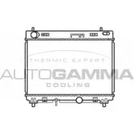 Радиатор охлаждения двигателя AUTOGAMMA 105061 Toyota Yaris (XP90) 2 2005 – 2011 IFA9T 1 X5E3D