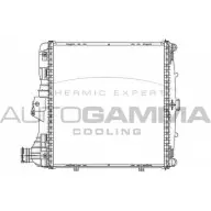 Радиатор охлаждения двигателя AUTOGAMMA Q46 VQA O9HJT9 3852179 105102