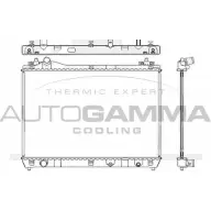 Радиатор охлаждения двигателя AUTOGAMMA CJ 9113E 3852180 ZDXRSE4 105103