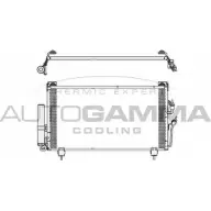 Радиатор кондиционера AUTOGAMMA BX65BL9 542X 8 3852227 105151