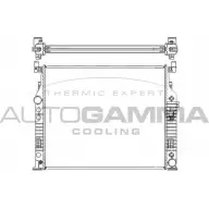Радиатор охлаждения двигателя AUTOGAMMA 8XP GM 105169 3852245 963FC