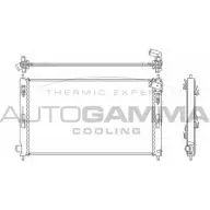 Радиатор охлаждения двигателя AUTOGAMMA 105216 WZ 13ZE 3852289 FDUZCDS