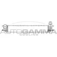 Интеркулер AUTOGAMMA SN9 SMB ACPQA 3852306 105239