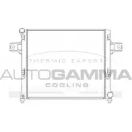 Радиатор охлаждения двигателя AUTOGAMMA 105259 C01WE 3852325 PUCB 9T5