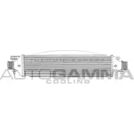 Интеркулер AUTOGAMMA 3852360 U3VQE4A 105296 D I8L5