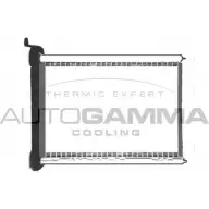 Радиатор печки, теплообменник AUTOGAMMA Renault Megane (DZ) 3 Купе 1.6 16V (DZ0H) 101 л.с. 2008 – 2024 105329 Y1N36 N IDOGW