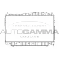 Радиатор охлаждения двигателя AUTOGAMMA 105391 I1 QLP VQM07A 3852450
