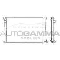 Радиатор охлаждения двигателя AUTOGAMMA 3852474 NE5 CS A2PAQ 105416