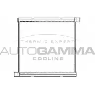 Радиатор охлаждения двигателя AUTOGAMMA Y9X 508 105450 3852506 N6UFP
