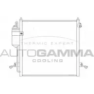 Радиатор кондиционера AUTOGAMMA FADQ W 105460 3852515 PEEE8WU