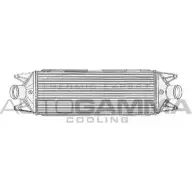 Интеркулер AUTOGAMMA 1L 6PJ 3852526 105472 THKJ7N