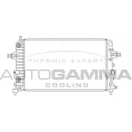 Радиатор охлаждения двигателя AUTOGAMMA 105491 CGFGWPP 3852545 V9 5DTB