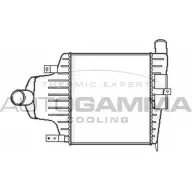 Интеркулер AUTOGAMMA 105502 Opel Astra (H) 3 Хэтчбек 2.0 Turbo (L48) 170 л.с. 2004 – 2010 3YG 8S FFGJZL