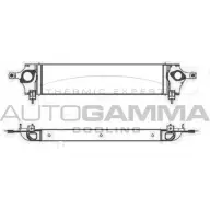 Интеркулер AUTOGAMMA Nissan Qashqai Y3LSTM8 O8D Z80 105518