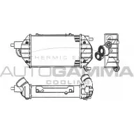 Интеркулер AUTOGAMMA 1HW5K UT BDC203Z 3852611 105560
