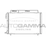 Радиатор кондиционера AUTOGAMMA 3852640 O6A NL FCF3EH 105589