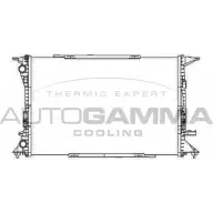 Радиатор охлаждения двигателя AUTOGAMMA 105612 EV6 BM T2LMR7S 3852663