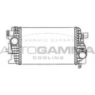 Интеркулер AUTOGAMMA 3DZQ5V6 105631 3852681 Z WM8D