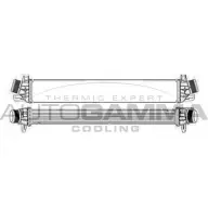 Интеркулер AUTOGAMMA 3852690 D1WFDH GD ZZH0B 105641